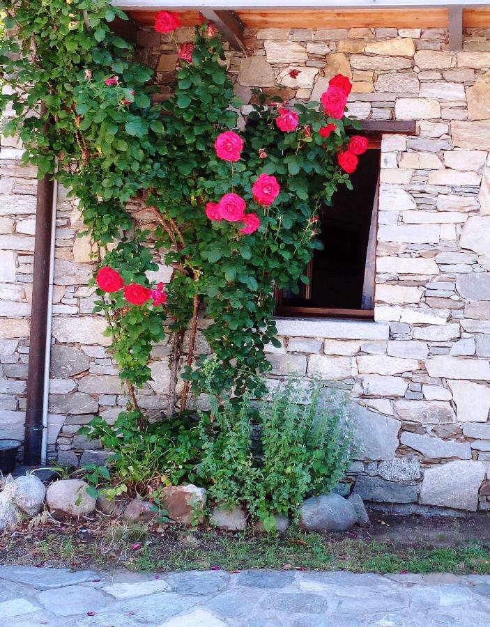 Casa Cicala Villa Trarego Exterior photo